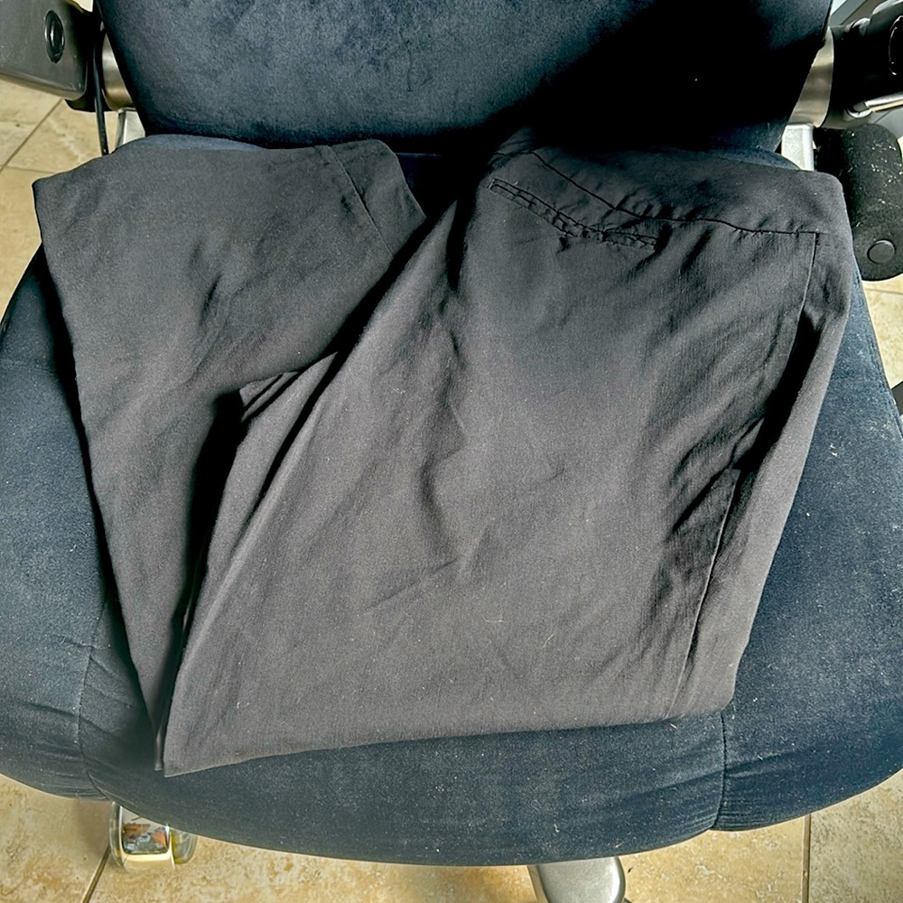 Size 16 Torrid pants